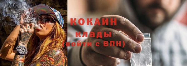 дживик Богданович