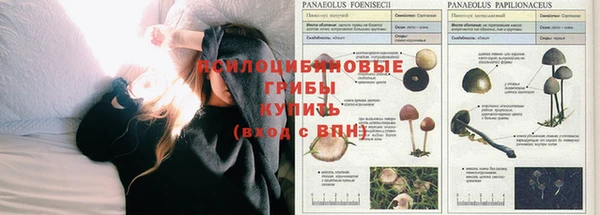 синтетический гашиш Богородицк