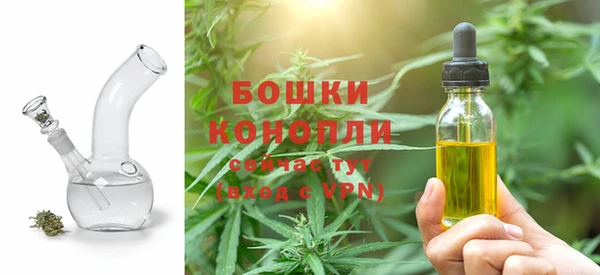 дживик Богданович