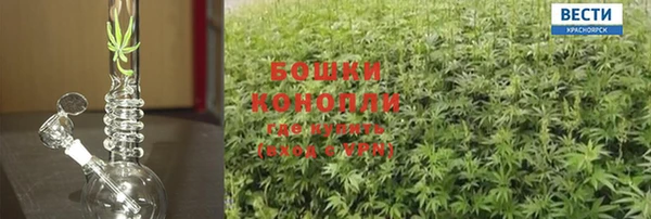 дживик Богданович