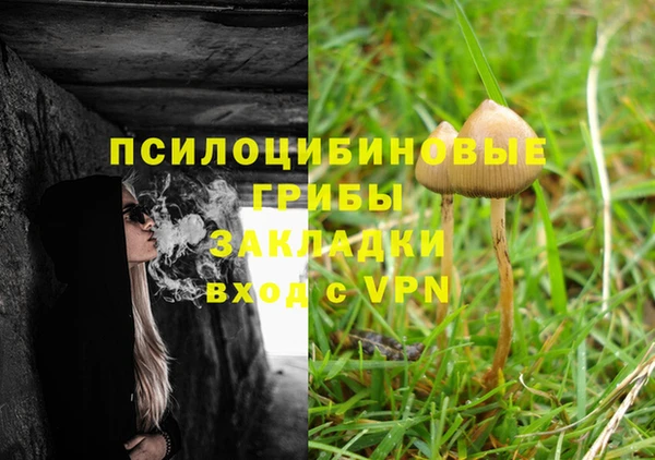 синтетический гашиш Богородицк
