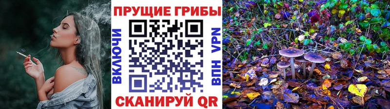 Купить где  Шенкурск  Псилоцибиновые грибы MAGIC MUSHROOMS 